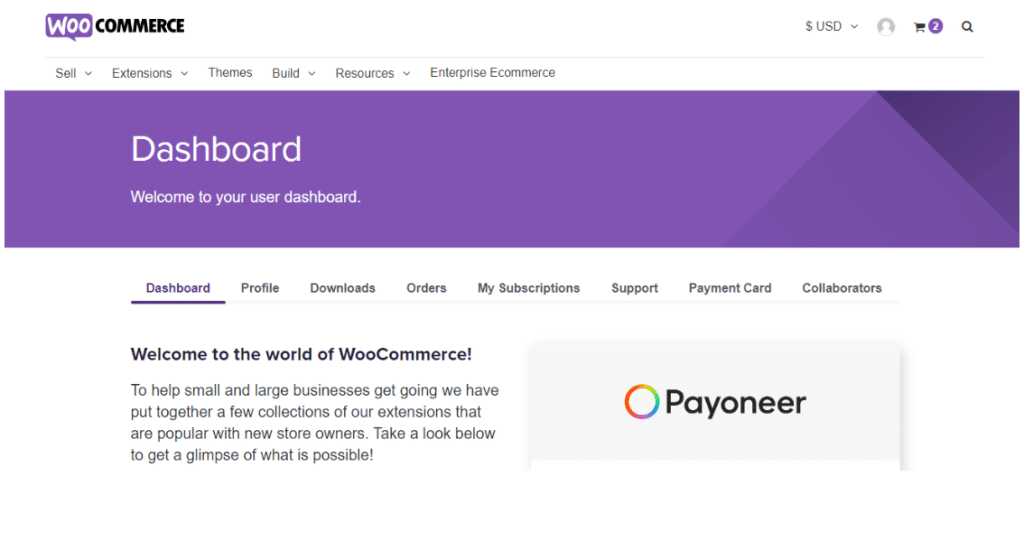 WooCommerce Coupon - Overview