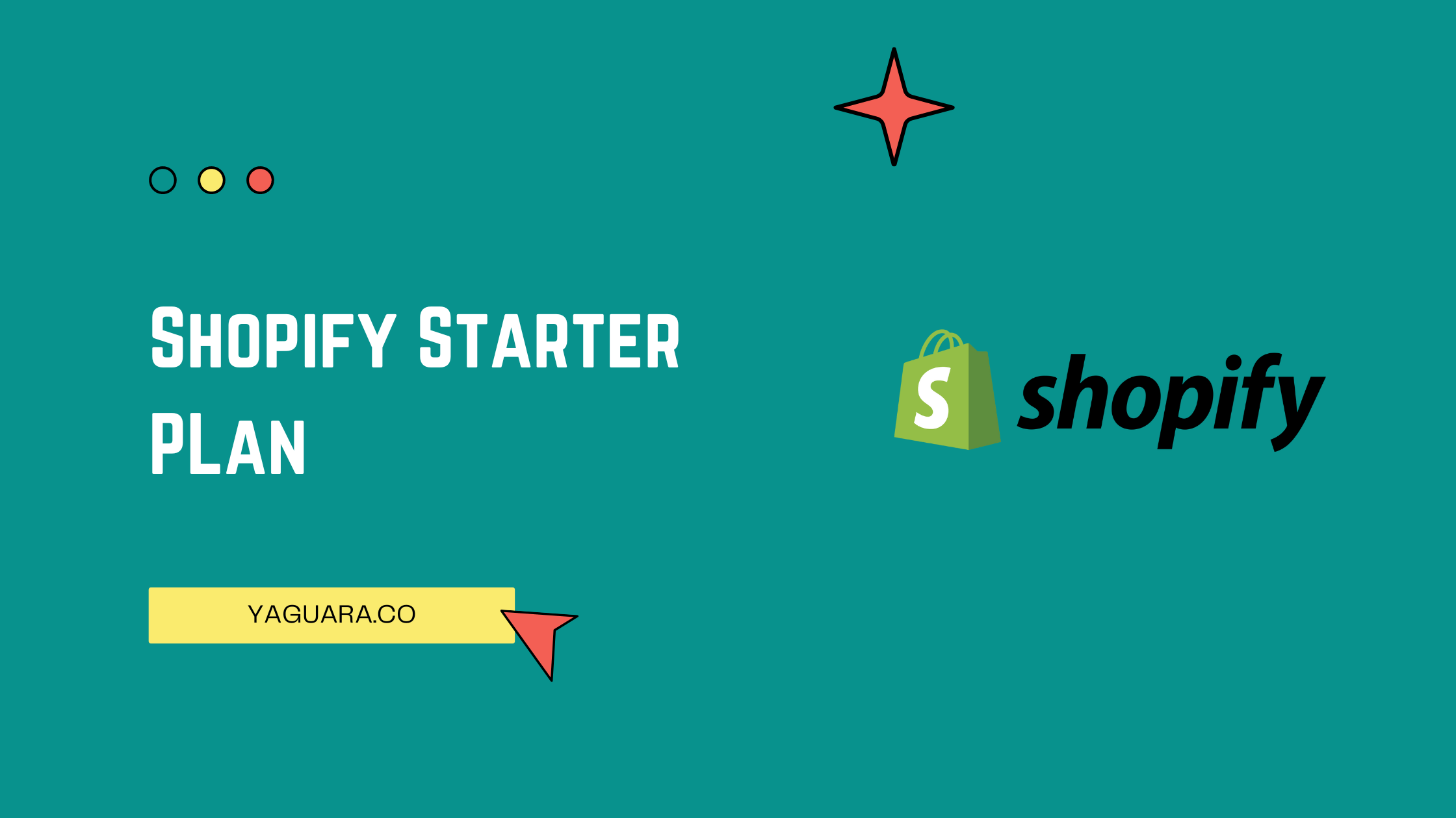 Shopify Starter Plan Review 2024 Features, Pricing & More