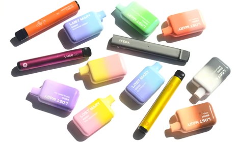 Single-Use or Disposable Vapes Single-Use or Disposable Vapes